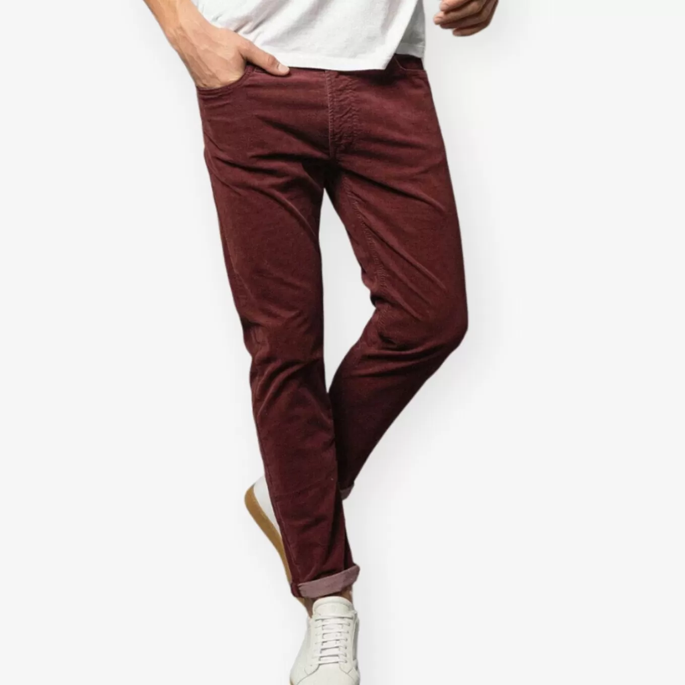 SERGE BLANCO® Pants^325 Velvet Pants
